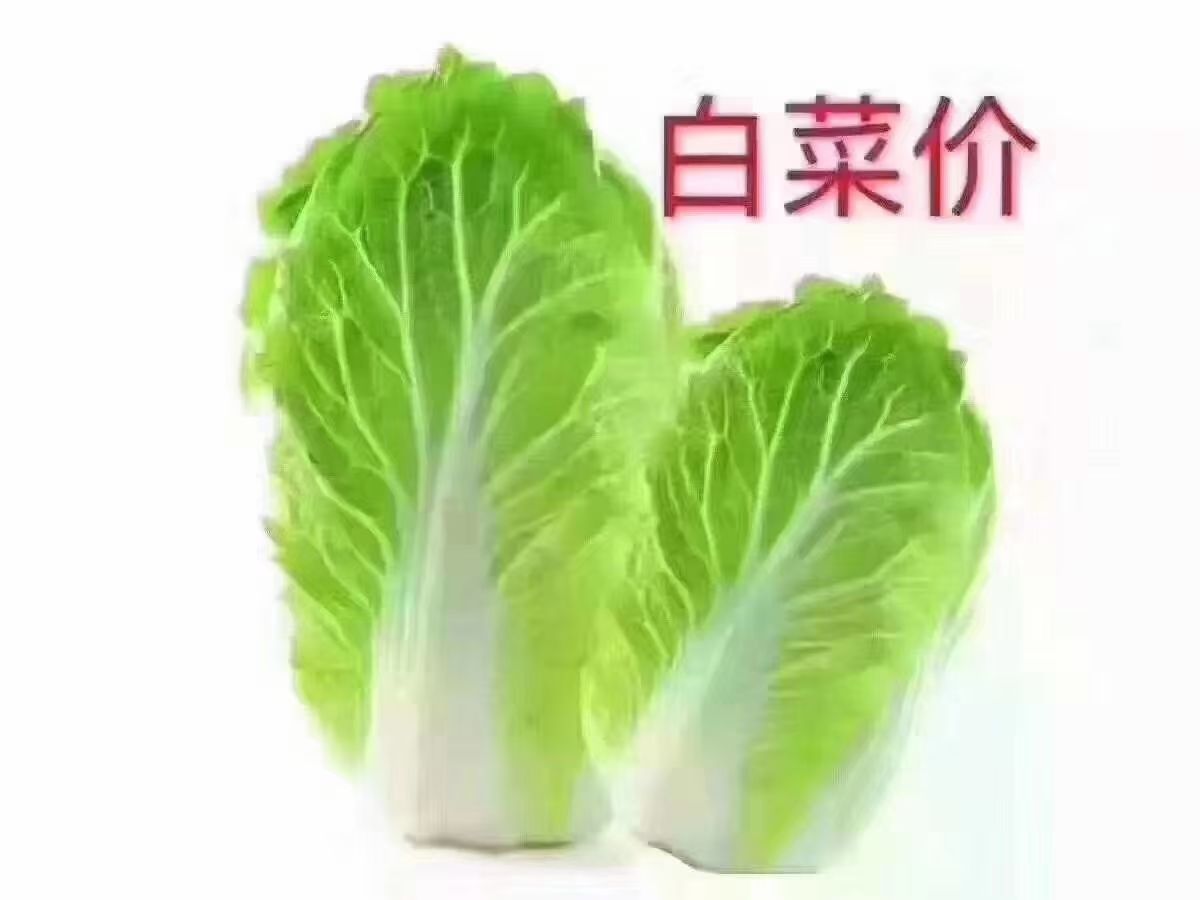 金都一号火龙果  火龙果