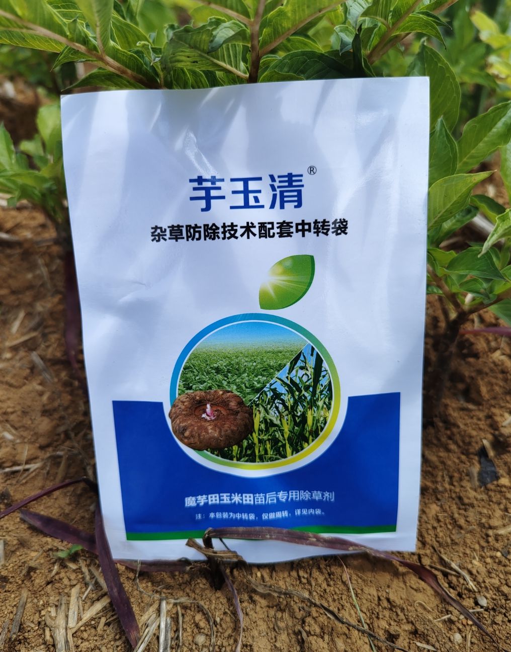 叶面肥  芋玉清  魔芋 玉米  苗后专用两不伤。