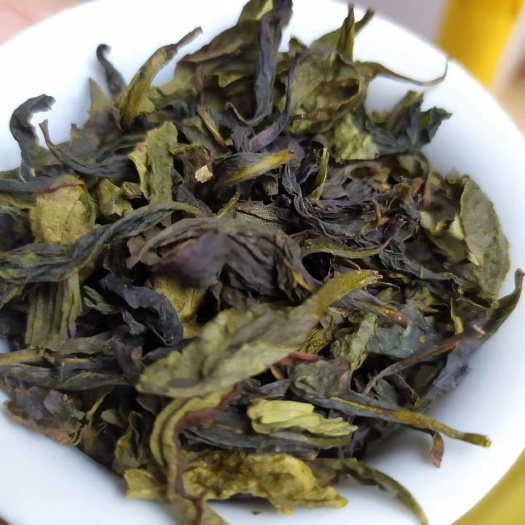 惠来县奇兰茶 高山茶惠来土山茶潮汕工夫茶大坪土山茶高山茶诏安八仙茶