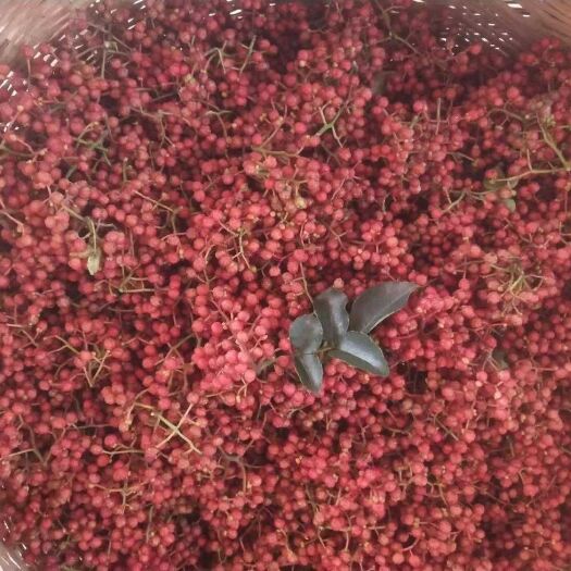渭南陕西大红袍红花椒鲜花椒品质优良，口感麻香。