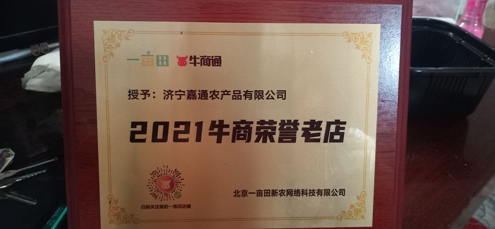 大蒜種子  蒜苗種子，四季紅根蒜苗種子，免費(fèi)提供技術(shù)