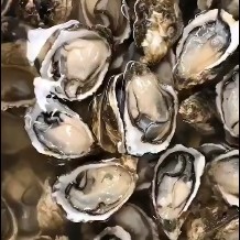 牡蛎 蚝头多多不够用