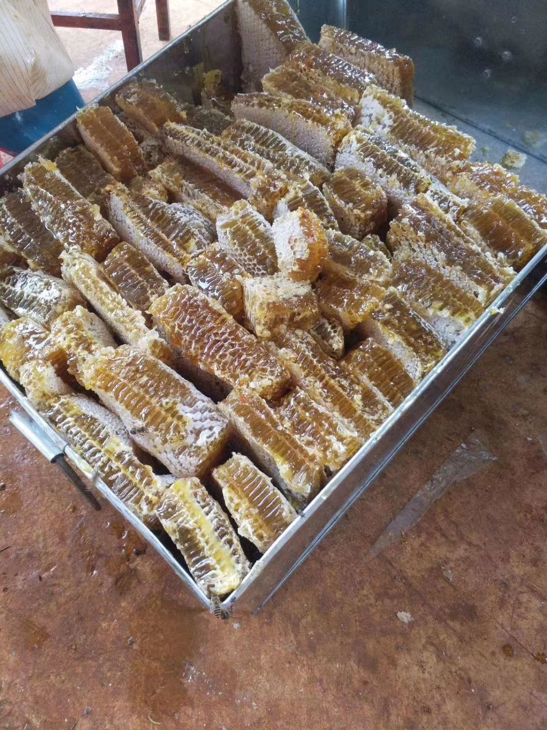 中蜂釆蜜范围(怎么判断中蜂的蜂王)