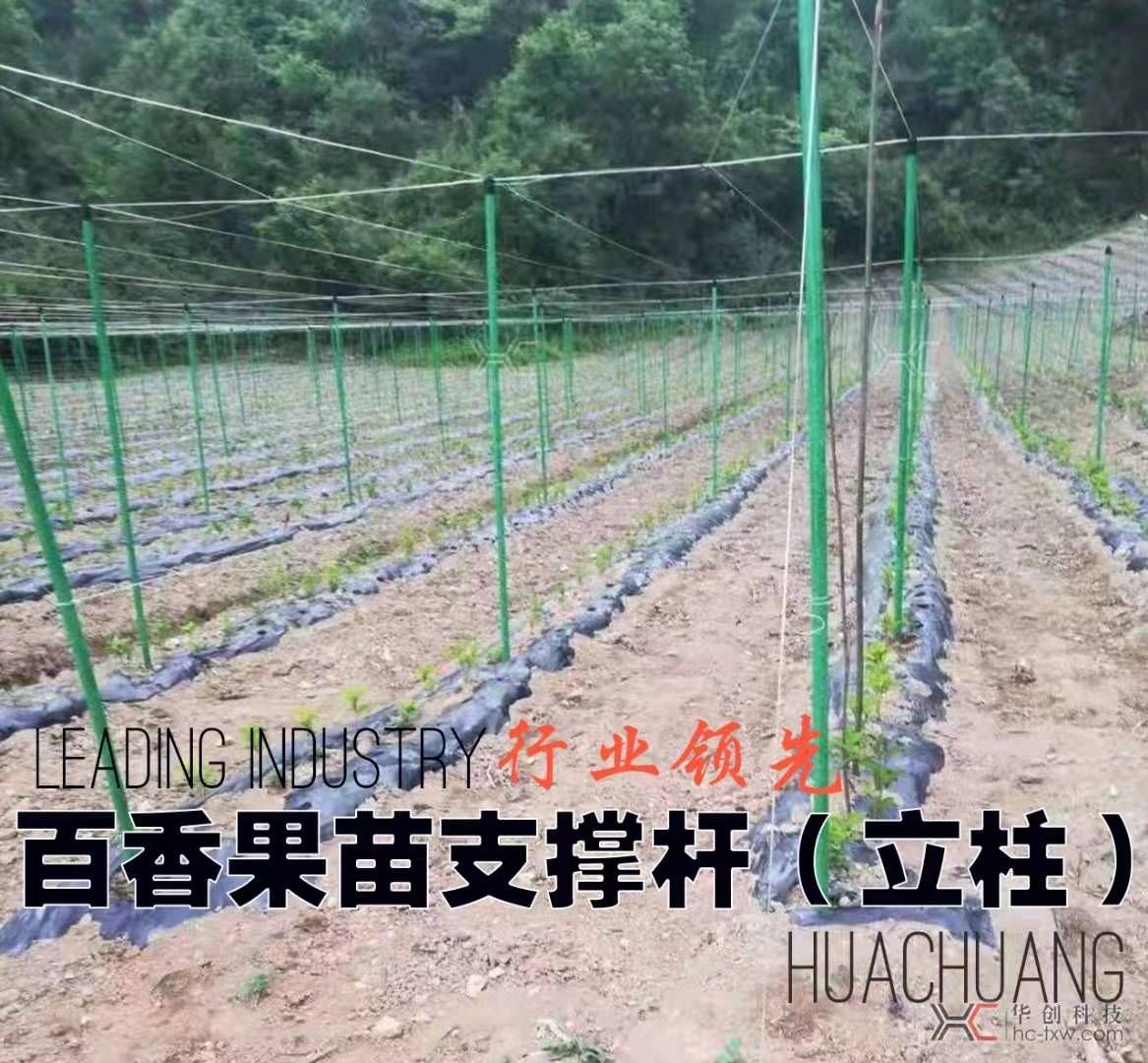 大棚管  百香果支架，葡萄避雨棚，猕猴桃避雨棚，代替水泥柱，