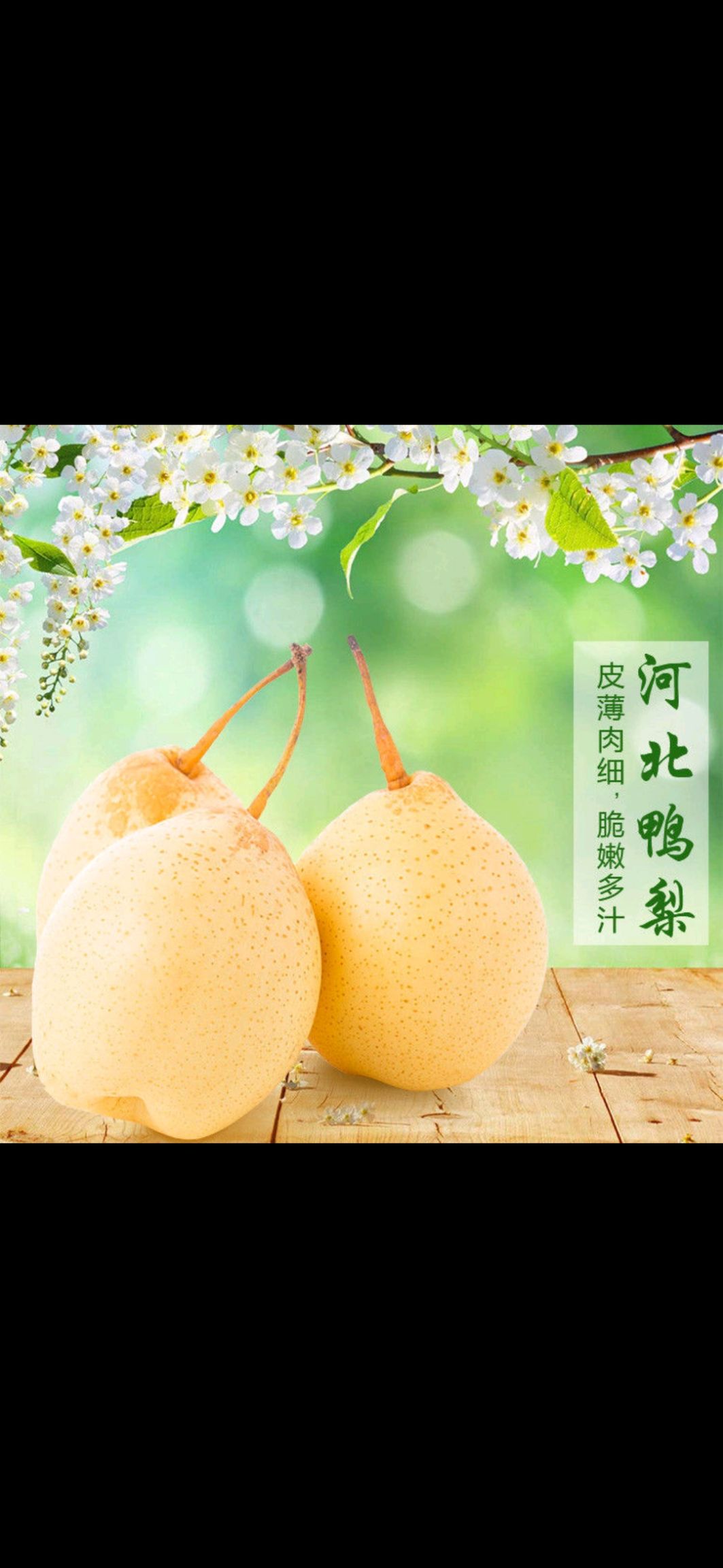  鸭梨，雪花梨批发