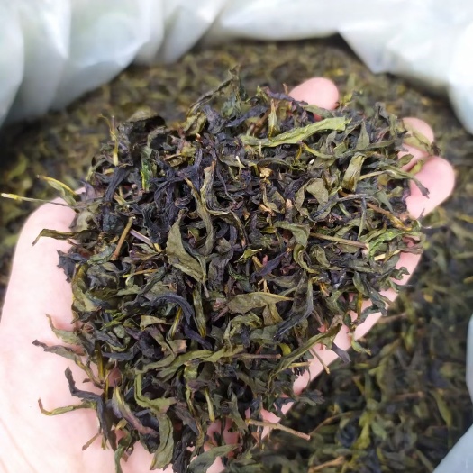 惠来县奇兰茶 惠来土山茶散装茶叶潮汕工夫茶潮汕高山茶黄旦茶土山茶叶