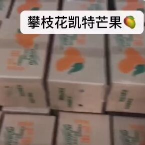 攀枝花凯特芒果电商微商一件代发