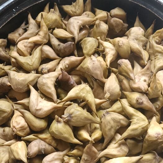 句容市青菱角