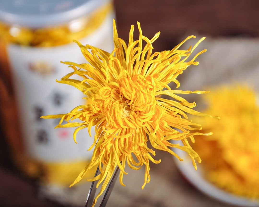 菊花茶  金丝皇菊【50朵简装】