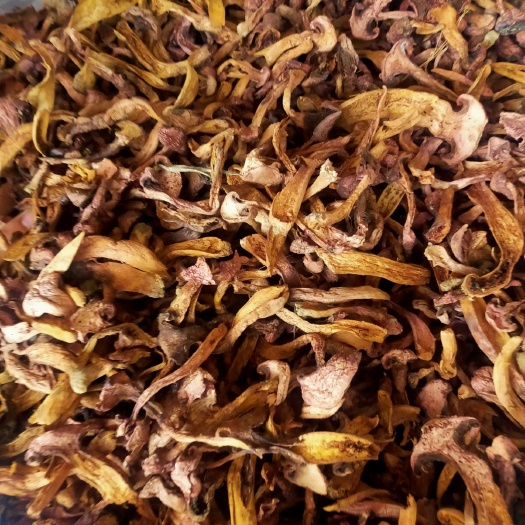 丰宁县美味牛肝菌 干牛肝菌 