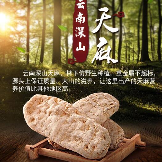 昆明云南昭通天麻小草坝种植黄天麻