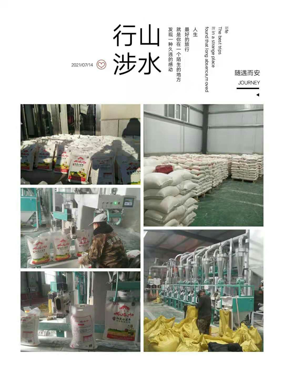 小麦粉  军源面粉