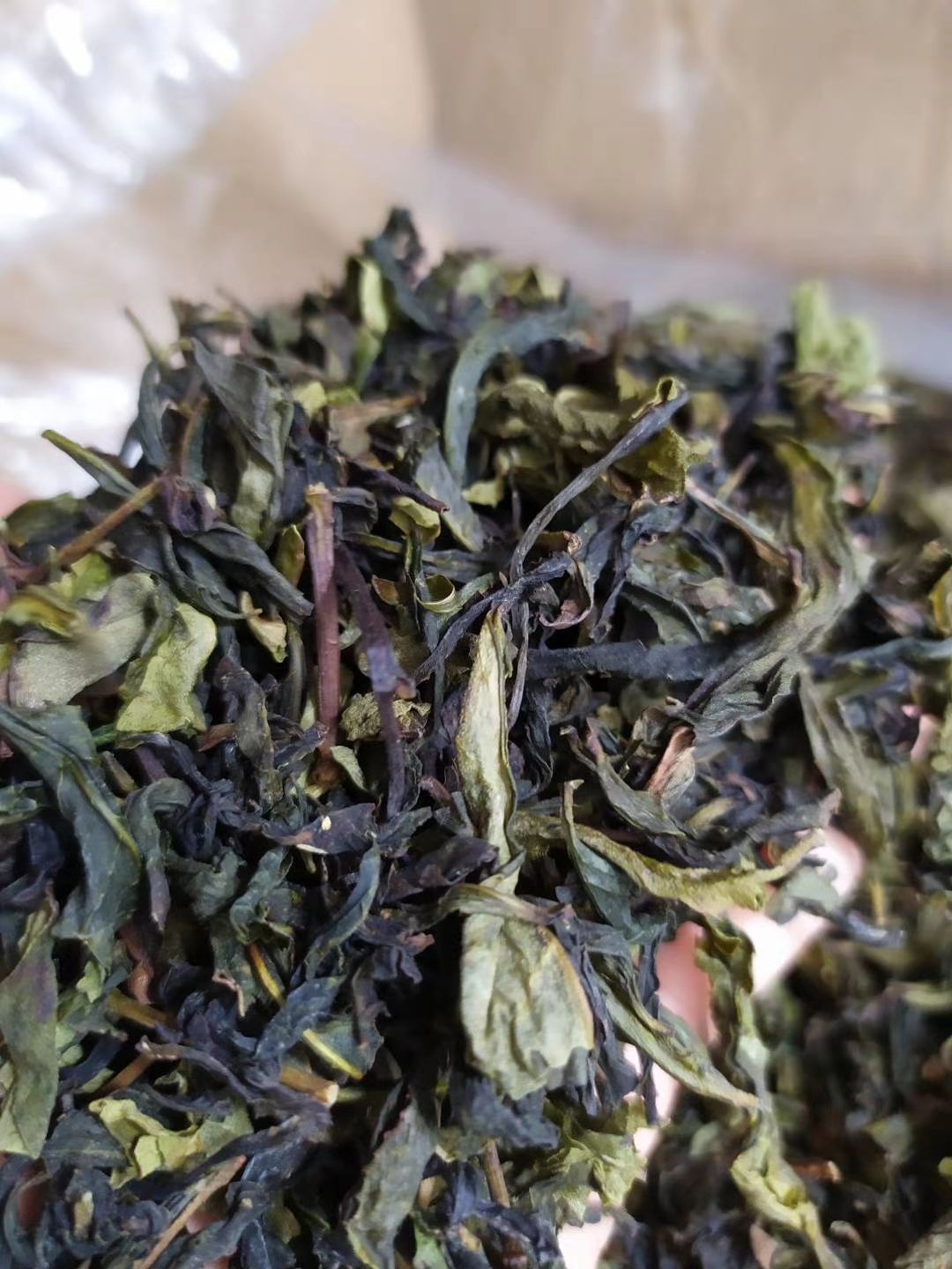 奇兰茶 高山茶惠来土山茶潮汕工夫茶大坪土山茶高山茶诏安八仙茶