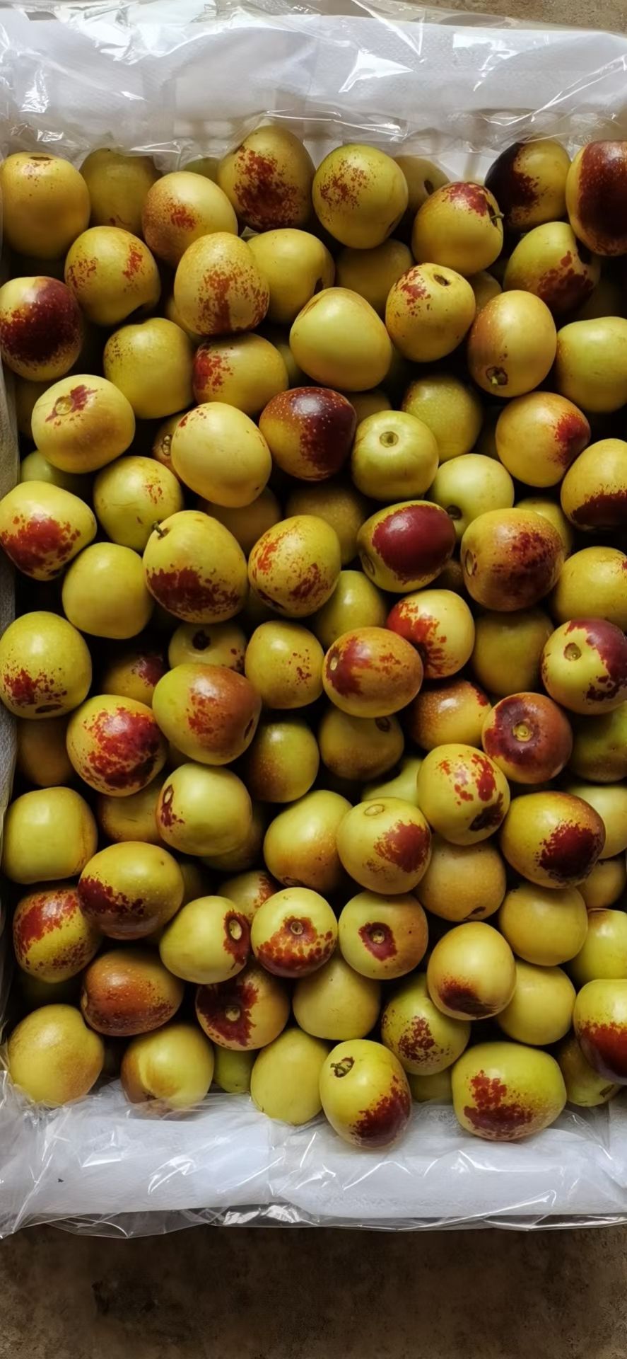 冬枣 陕西省渭南市大荔县