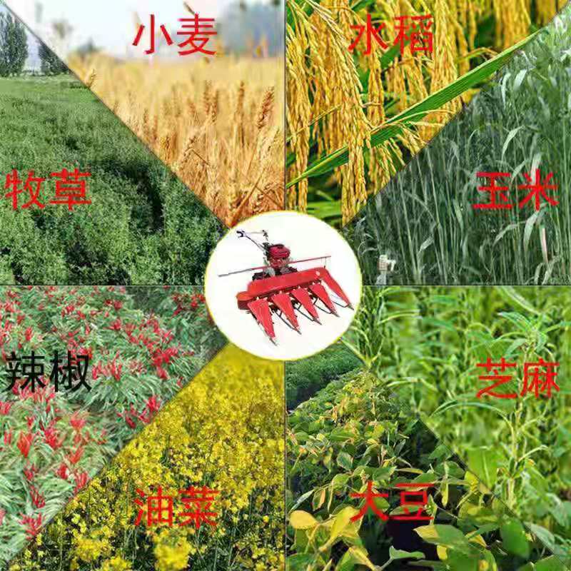  细杆作物割倒收割机四轮车悬挂割晒机排放整齐牧草收割机