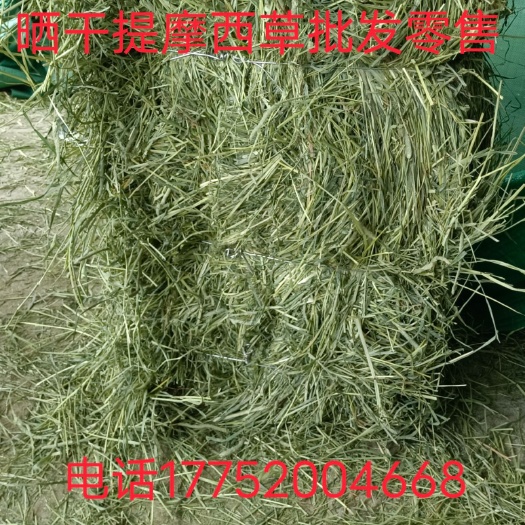 岷县22新晒干提摩西草，牧草种植，宠物 ，兔子，荷兰猪主粮龙猫