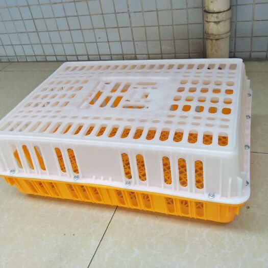 佛山塑料鸡笼