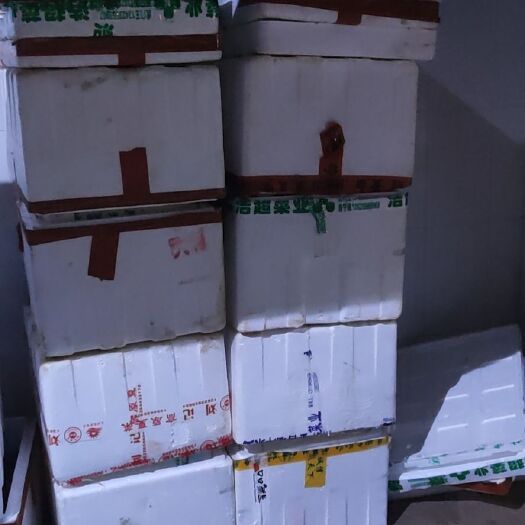 广州长期供应二手蔬菜泡沫箱，货源稳定。增城区附近可以安排送货上门