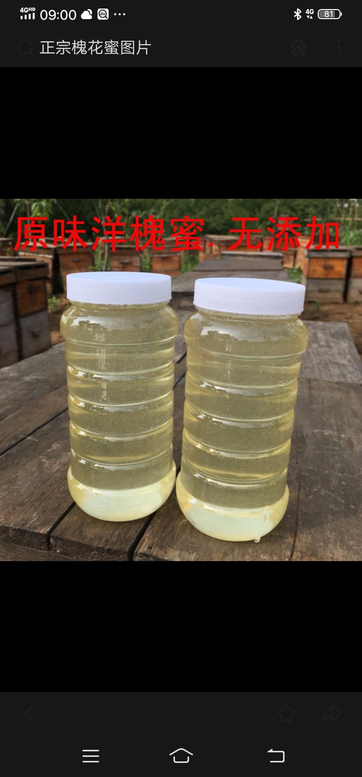 槐花蜜 槐花蜂蜜