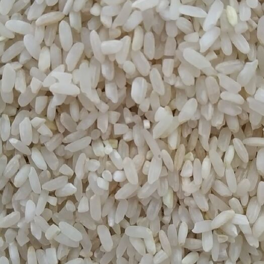 翁源县粳米 珍桂矮米 河粉 肠粉 手工粉 专用米