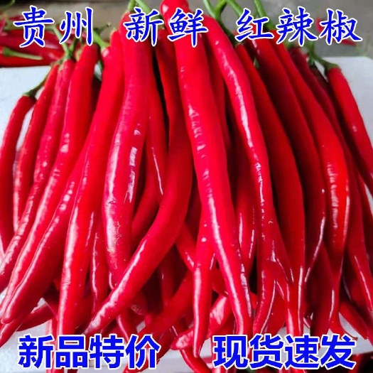 贵阳线椒 新鲜红辣椒贵州辣椒红辣椒支持代付批发新鲜红辣椒青辣椒