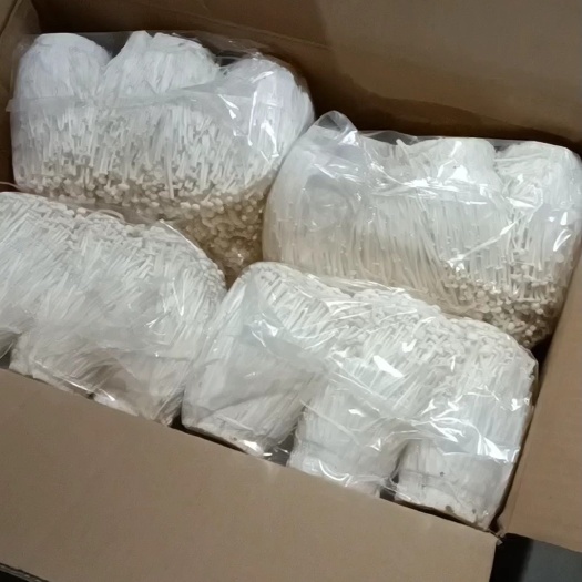 白金针菇  新鲜金针菇