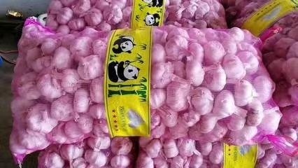 民权县2025紫皮蒜干蒜 产地直发河南大蒜
