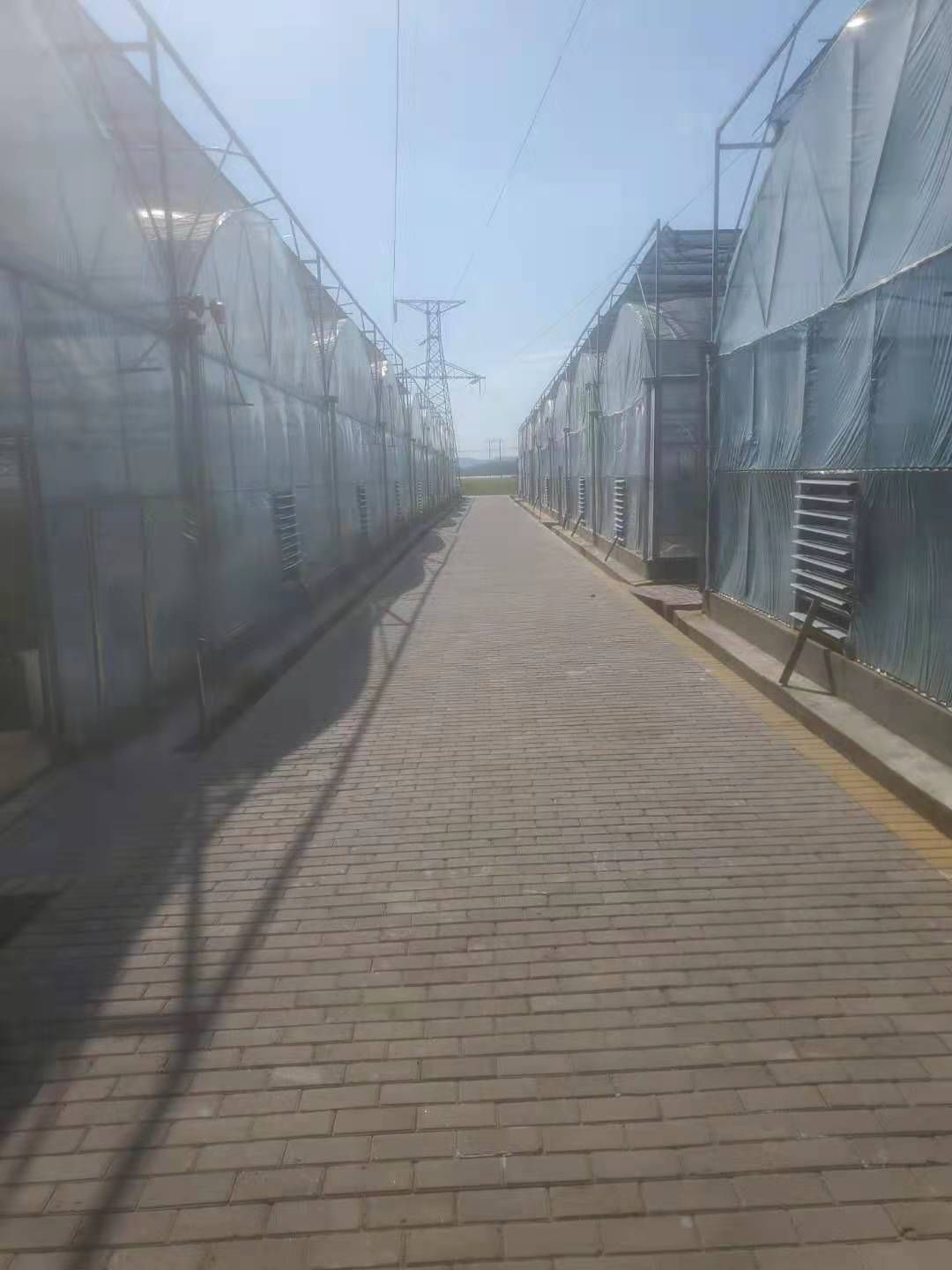 种植大棚 联动大棚出租外遮阳风帘，喷灌一起九江市濂溪区