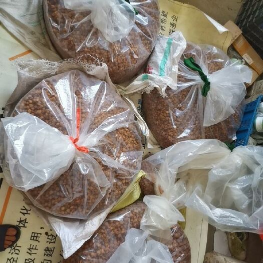 博白县各种桂圆肉，桂圆干。我就是加工厂，价格可以谈