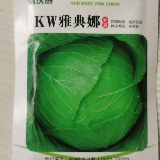 平度市甘蓝种子，雅典娜甘蓝种子，抗病抗高温