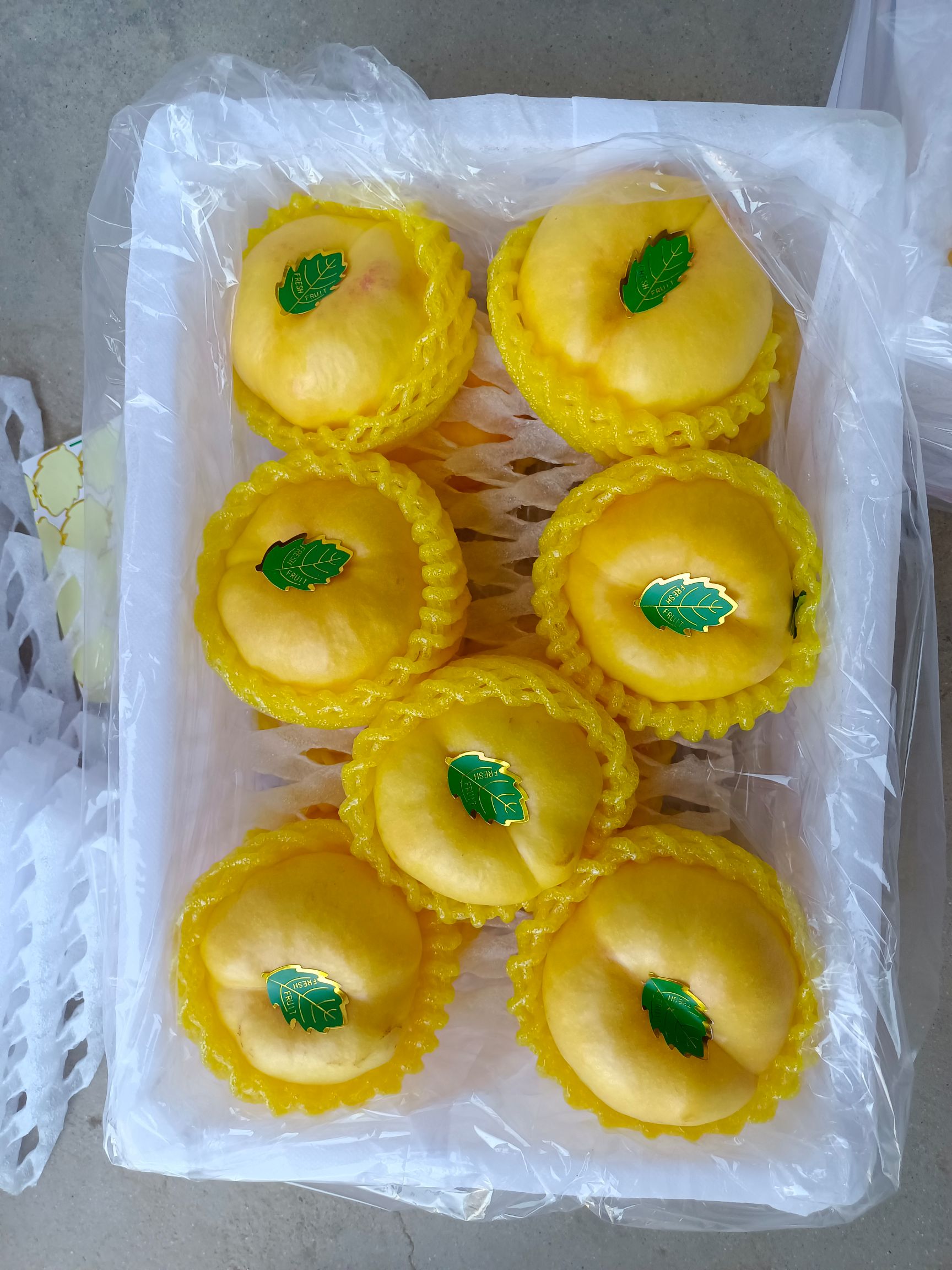黄蟠桃  油蟠7号桃批发