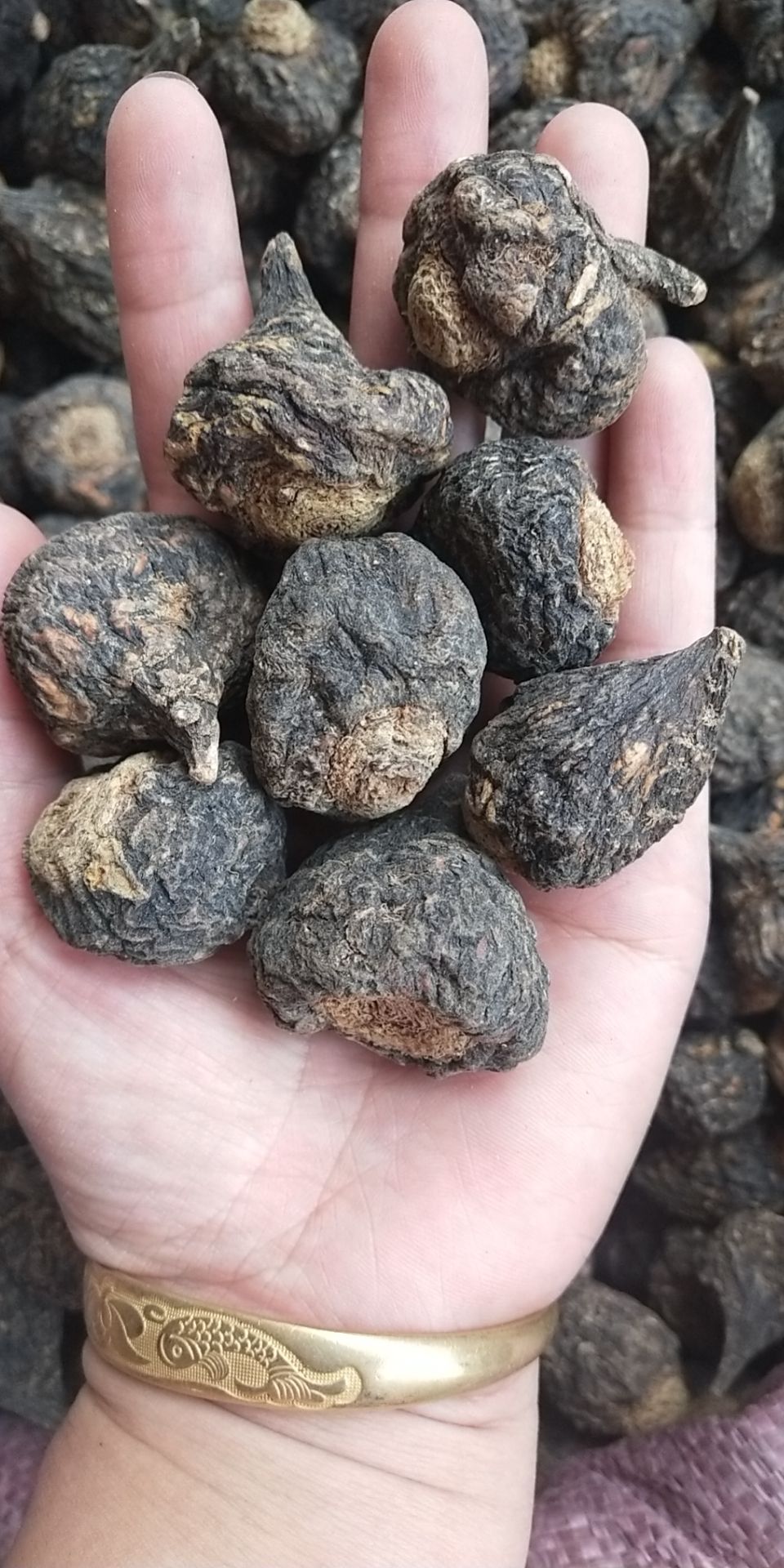 玛咖  云南高山黑玛卡果