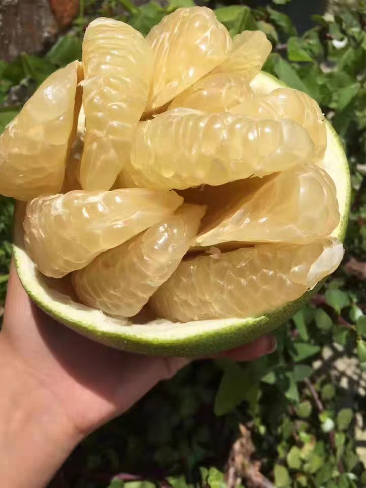 泰国青柚大果白心大蜜柚新鲜水果饱满果香多汁脆嫩柚子白心柚