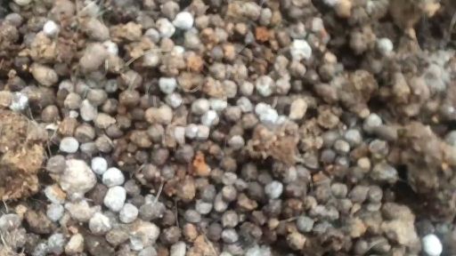 养殖场直销纯羊粪发酵有机肥，欢迎您实地考察羊粪质量