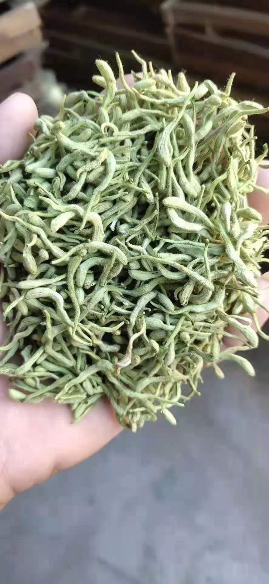 金银花茶