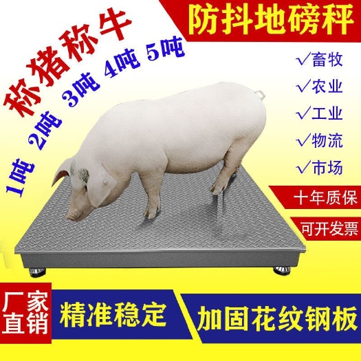 盐城耀华加厚地磅秤1-3吨地磅工厂物流电子秤地磅称猪牛小型地磅