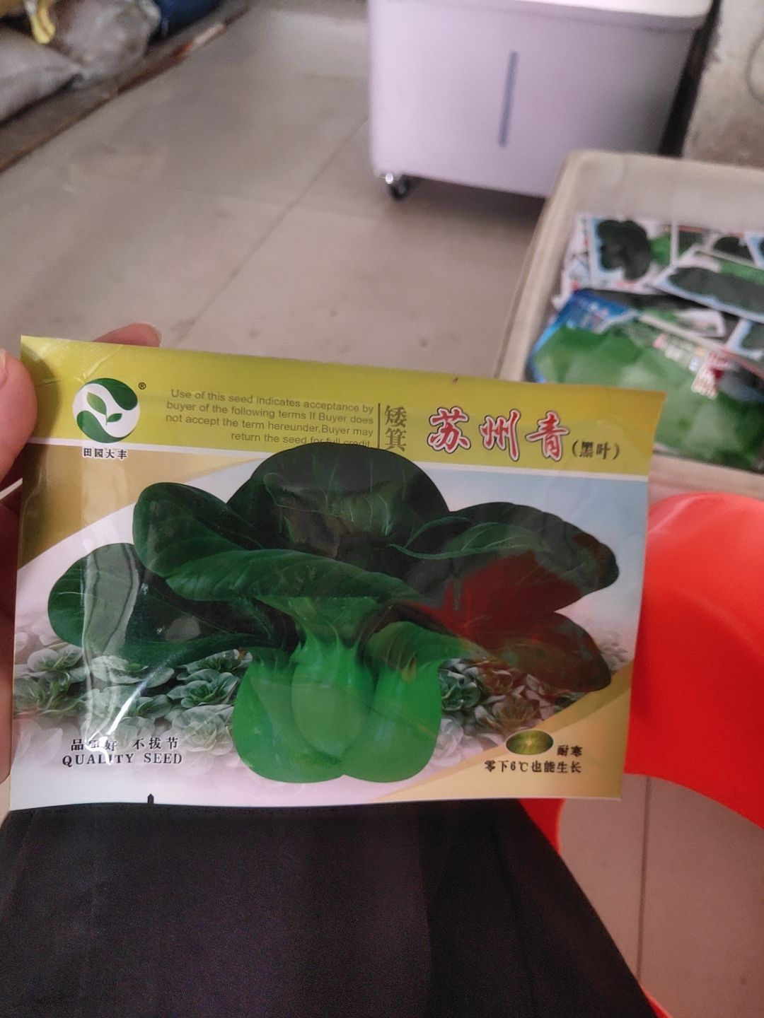 白菜种子  矮淇苏州青黑叶。耐寒，