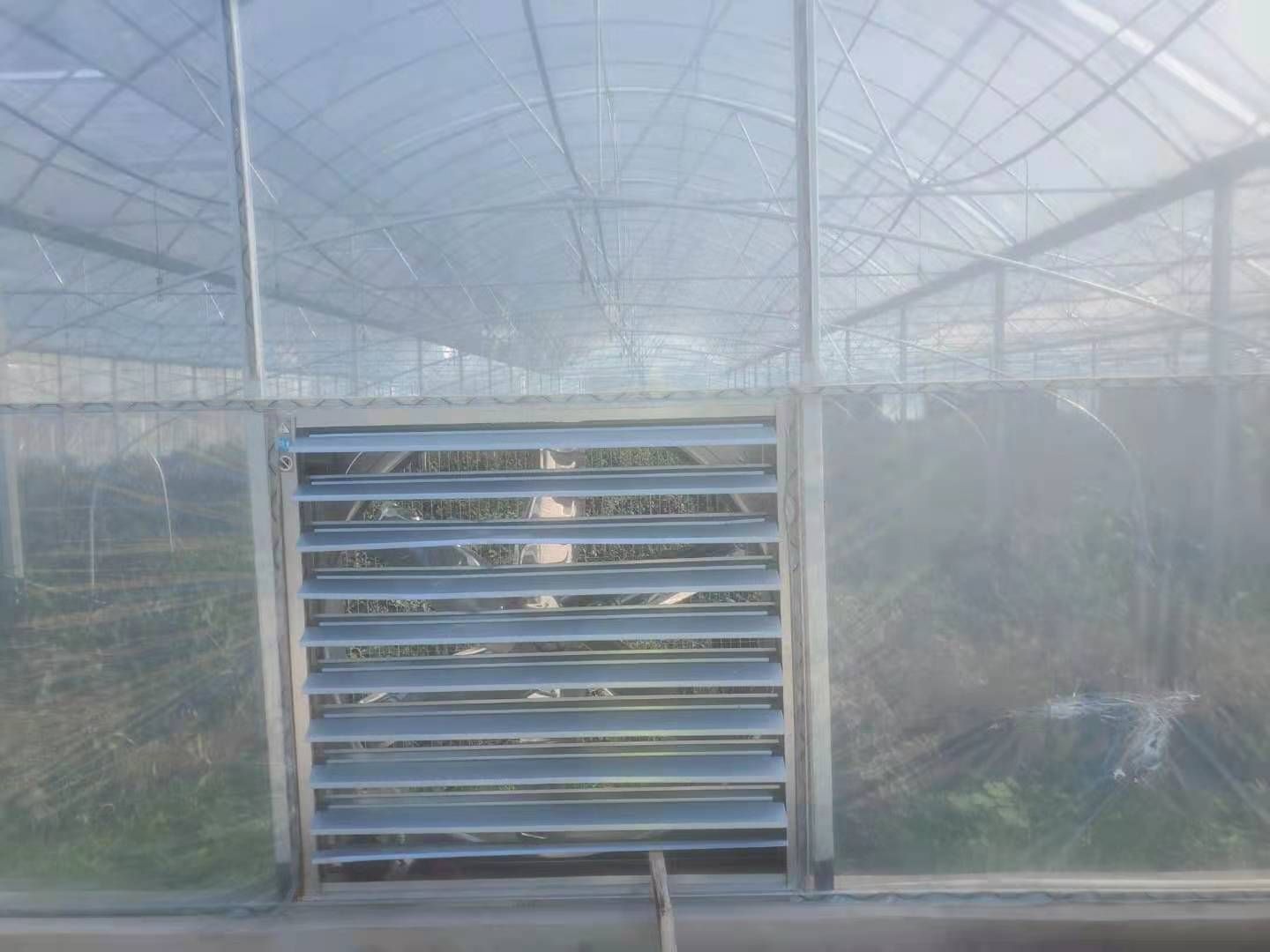 种植大棚 联动大棚出租外遮阳风帘，喷灌一起九江市濂溪区
