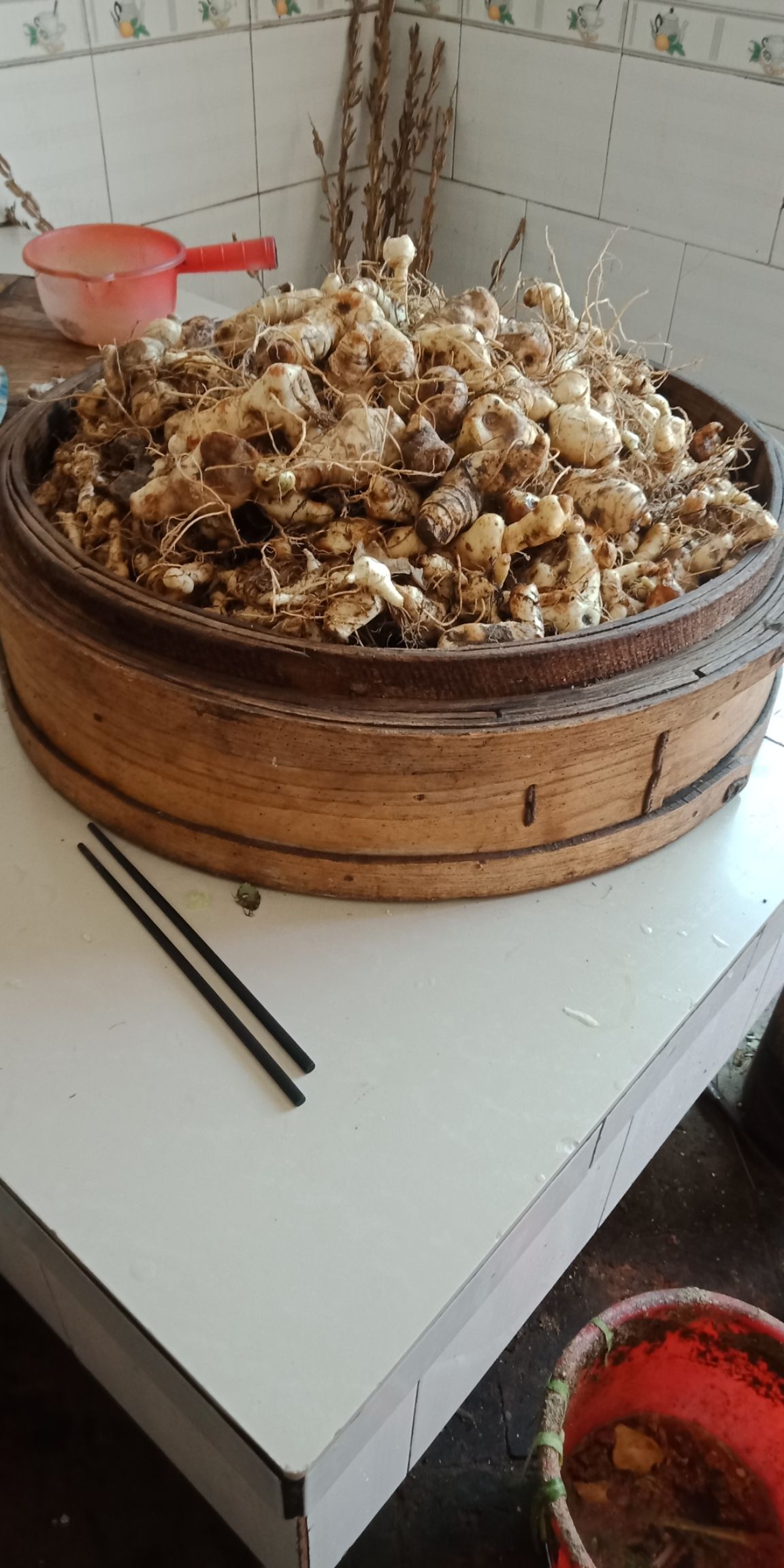 鸡头黄精 秦岭黄精货