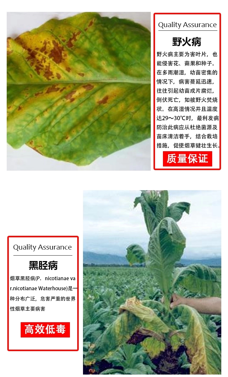 20%噻菌铜嘉田果蔬软腐病青枯病枯萎病细菌性角斑病杀菌剂