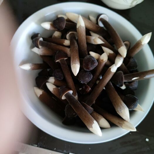 砀山县鸡枞菌 鲜鸡枞菌 