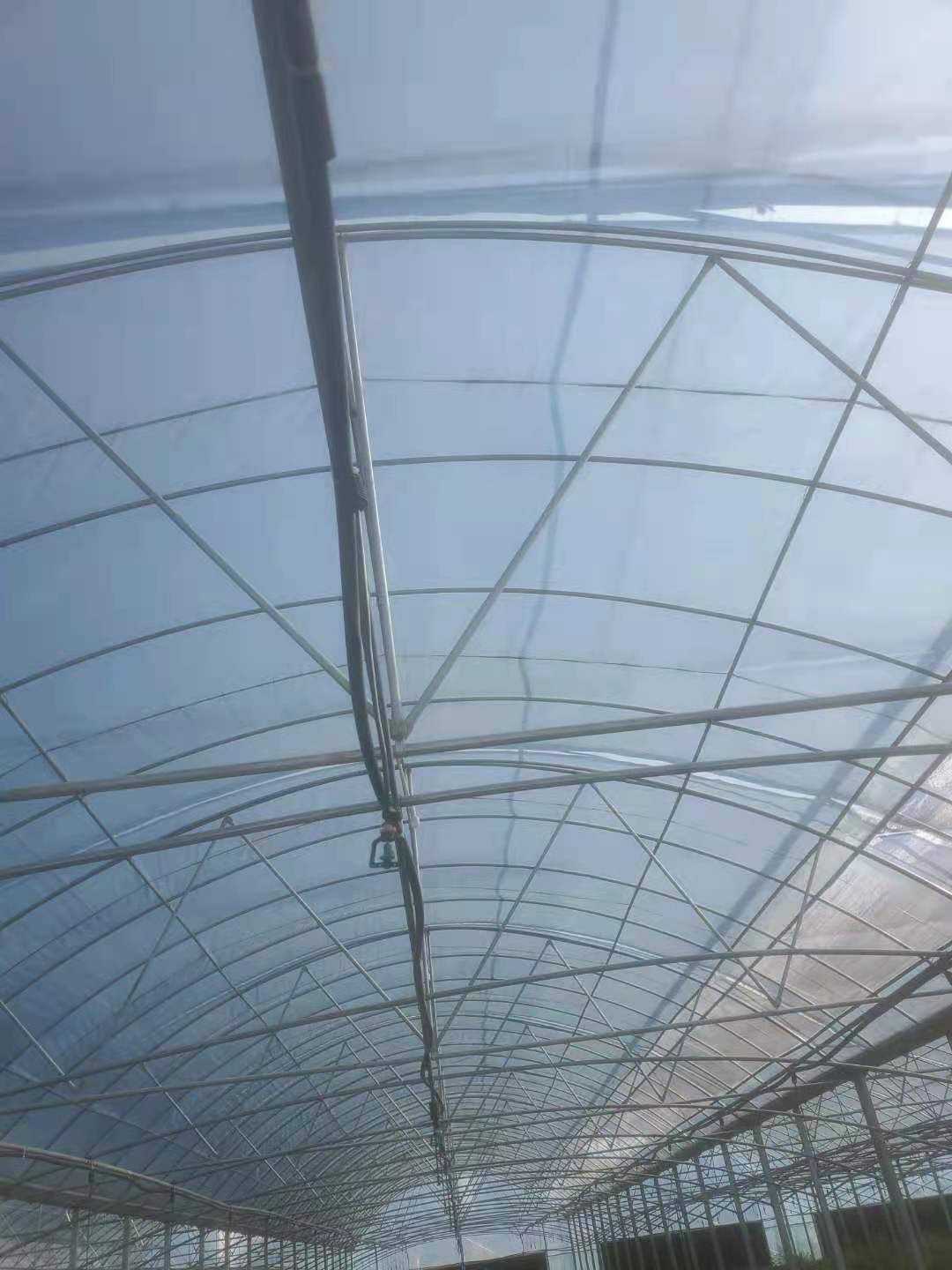 种植大棚 联动大棚出租外遮阳风帘，喷灌一起九江市濂溪区