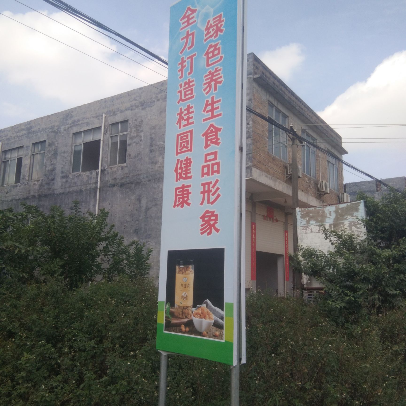桂圆肉 广西壮族自治区玉林市博白县 桂圆肉 6-12个月 
