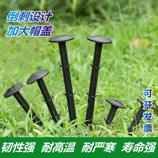 德州 塑料地钉园艺加粗加长拉枝钉大棚地膜倒刺钉防草布地钉
