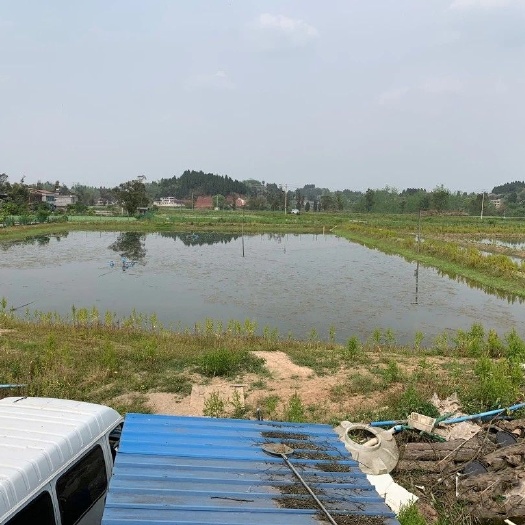 重庆市水产养殖用地 120亩虾塘出