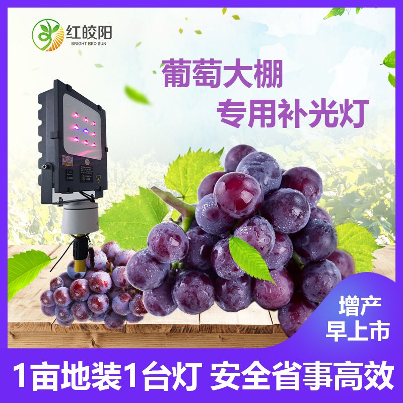 激光植物补光灯大棚补光灯温室种植葡萄油桃仿太阳光的植物灯