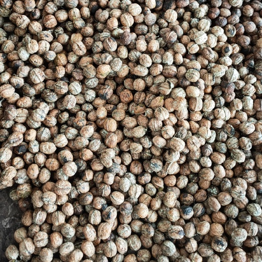 盐源县清香核桃 鲜核桃 大量现货刚剥壳的 需要老板联系