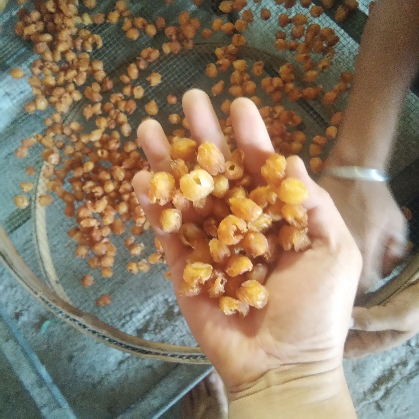 桂圆肉 广西壮族自治区玉林市博白县 桂圆肉 6-12个月 