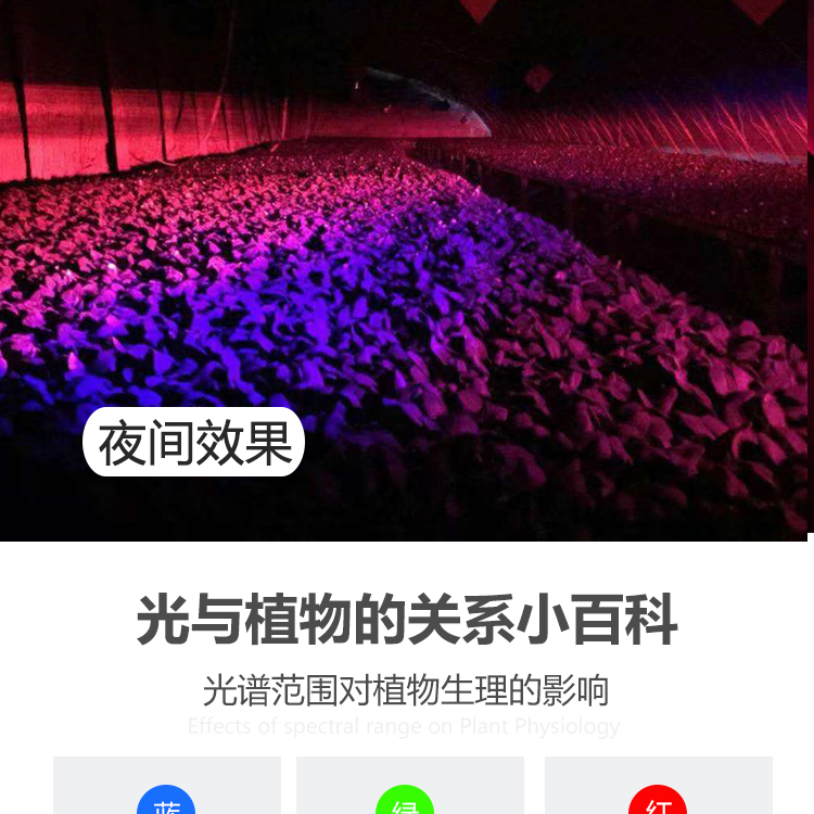 激光植物补光灯大棚补光灯温室种植葡萄油桃仿太阳光的植物灯