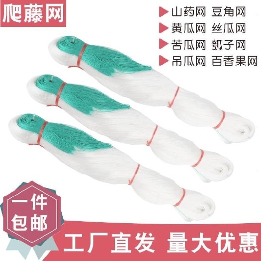 无棣县爬藤网  细六股植物豆角网荷兰豆芸豆四季豆不老豆豇豆角网山药网